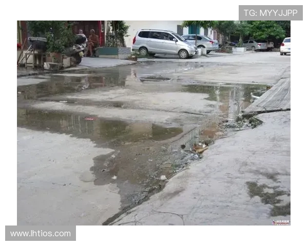 MG老虎机比倍玩法优势分析，了解如何利用比倍功能提升游戏胜率