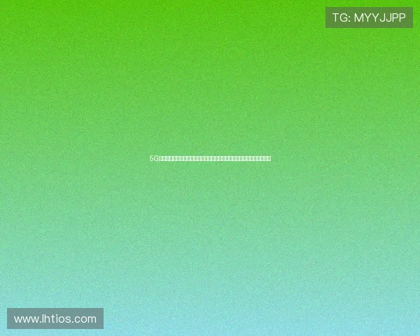 5G娱乐网为游戏玩家提供个性化推荐和定制化内容，满足多样化的娱乐需求